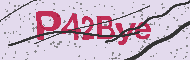 Captcha認証コード